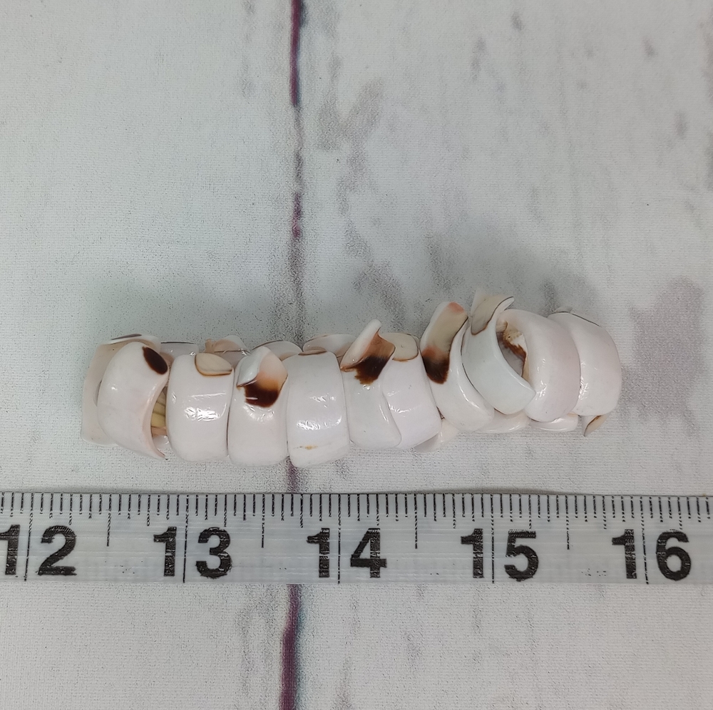 Shell Bracelet - Picture 6 of 8